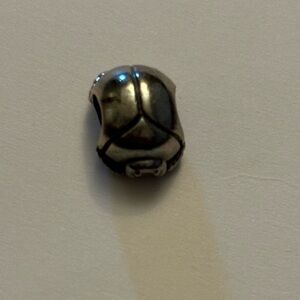 Pandora lady bug charm